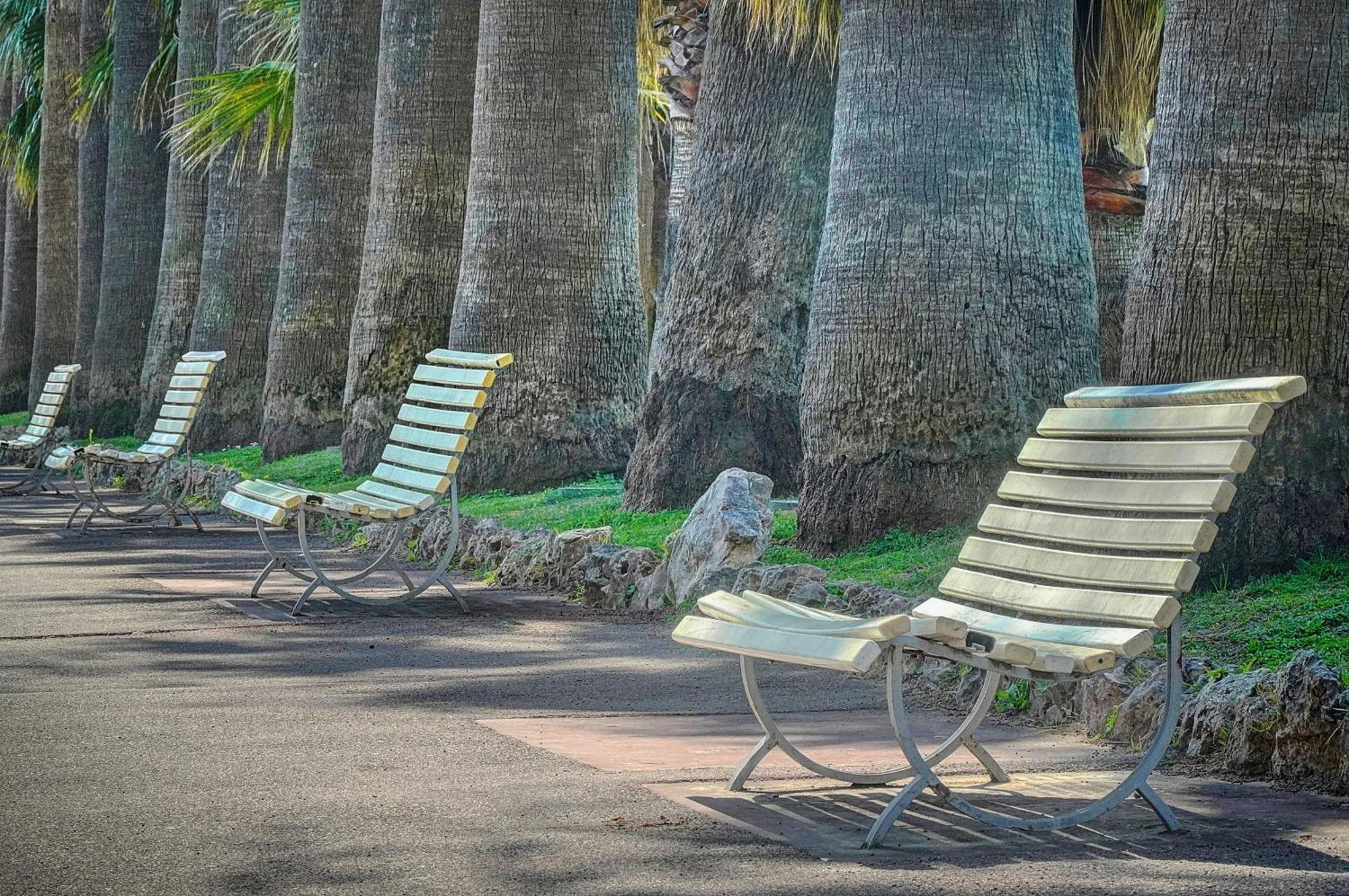 Le Palm - 100M Plage - Croisette - Verriere Cote D'Azur 戛纳 外观 照片