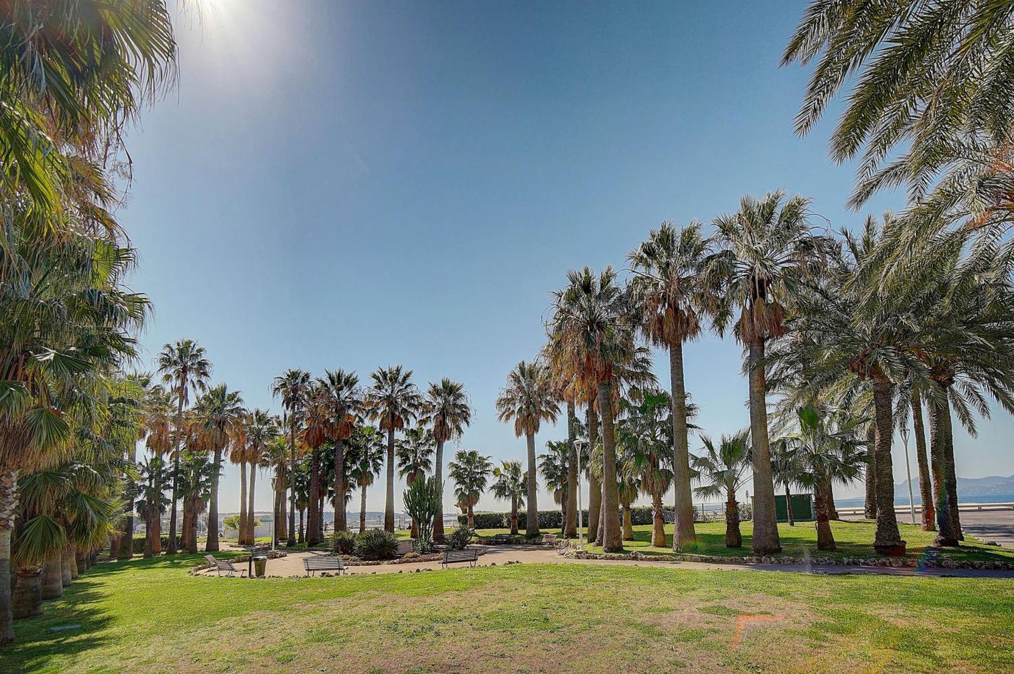 Le Palm - 100M Plage - Croisette - Verriere Cote D'Azur 戛纳 外观 照片
