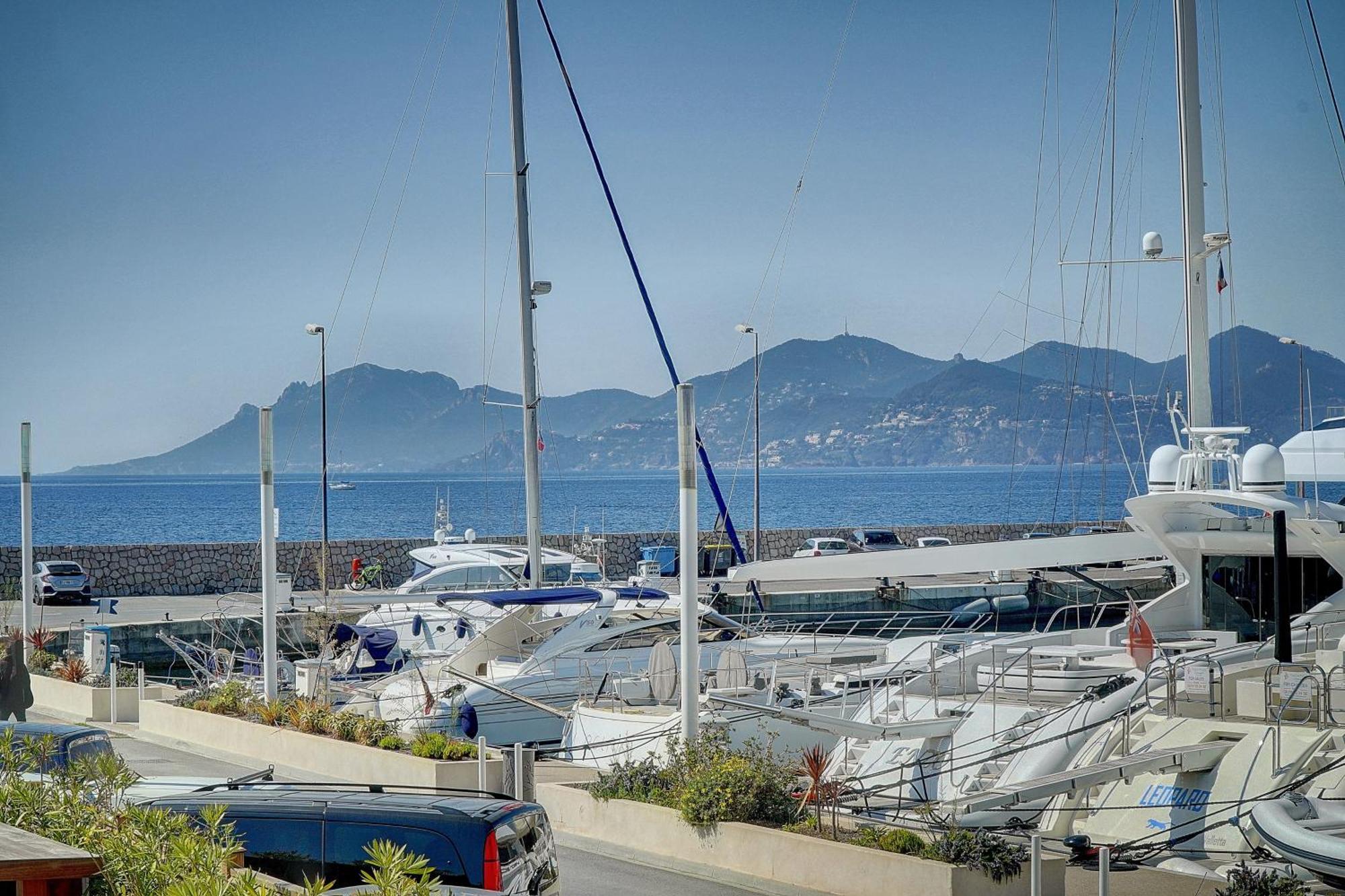 Le Palm - 100M Plage - Croisette - Verriere Cote D'Azur 戛纳 外观 照片